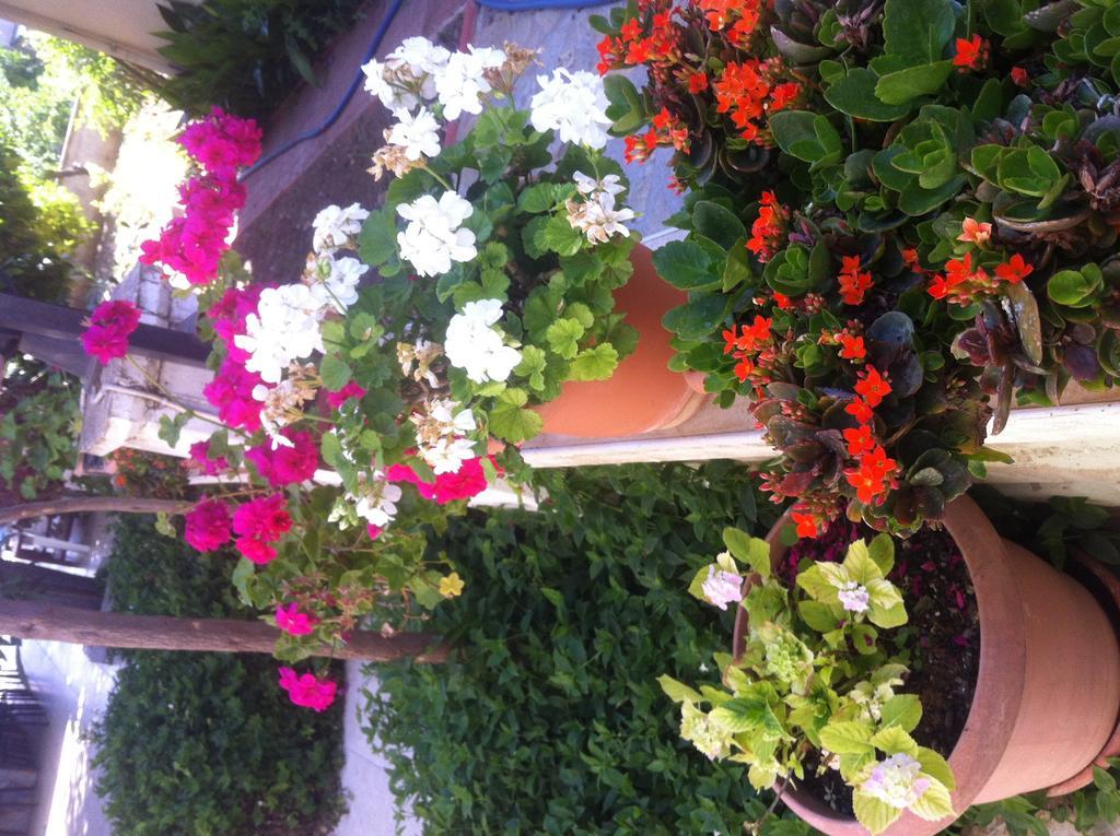 Besik Hotel Fethiye Extérieur photo