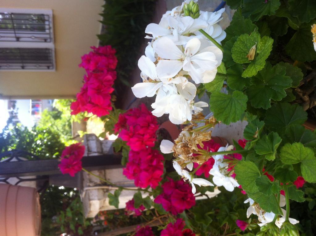 Besik Hotel Fethiye Extérieur photo