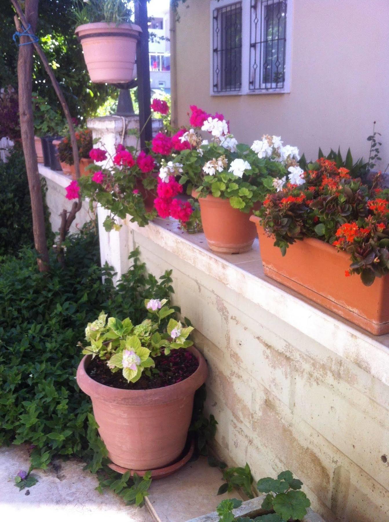 Besik Hotel Fethiye Extérieur photo